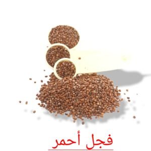 بذور رويد فجل احمر