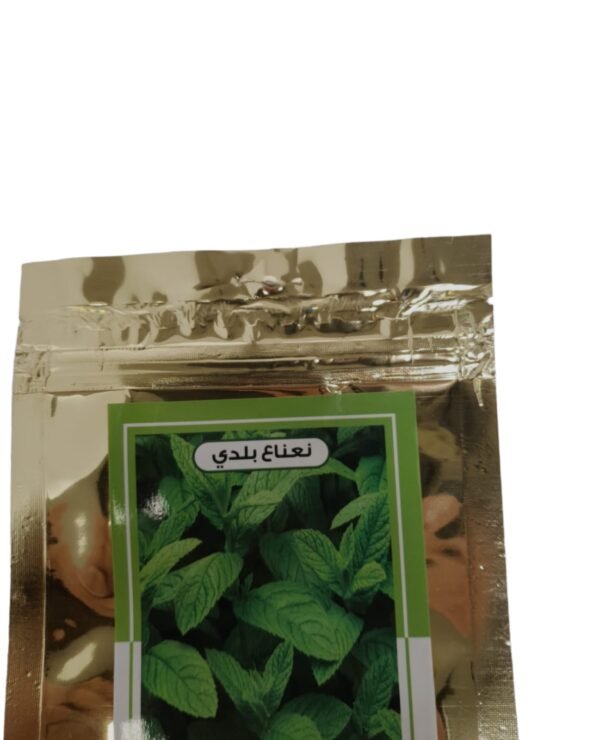 بذور نعناع بلدي